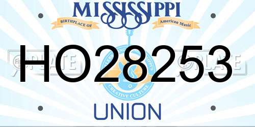 HO28253 Mississippi License Plate