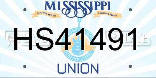 HS41491 Mississippi License Plate