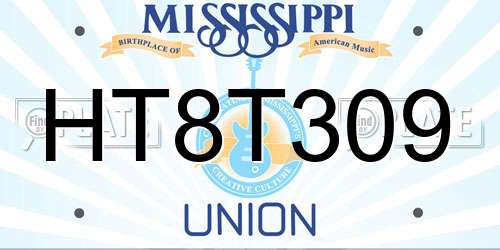 HT8T309 Mississippi License Plate
