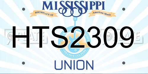 HTS2309 Mississippi License Plate