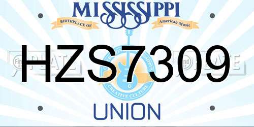 HZS7309 Mississippi License Plate