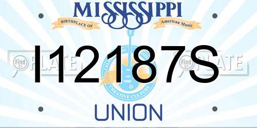 I12187S Mississippi License Plate