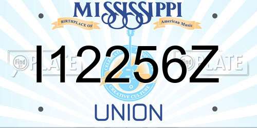 I12256Z Mississippi License Plate