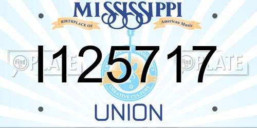 I125717 Mississippi License Plate