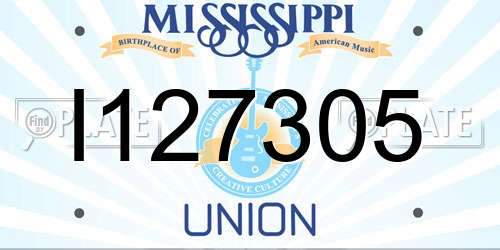 I127305 Mississippi License Plate