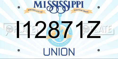 I12871Z Mississippi License Plate