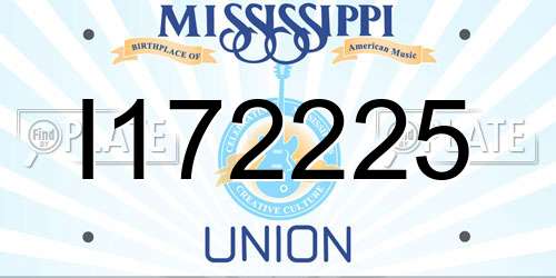 I172225 Mississippi License Plate