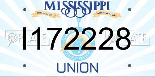 I172228 Mississippi License Plate