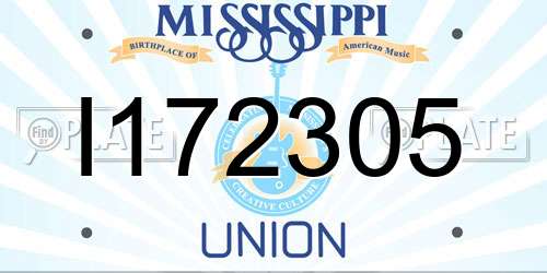 I172305 Mississippi License Plate