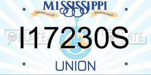 I17230S Mississippi License Plate