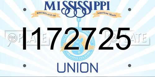 I172725 Mississippi License Plate