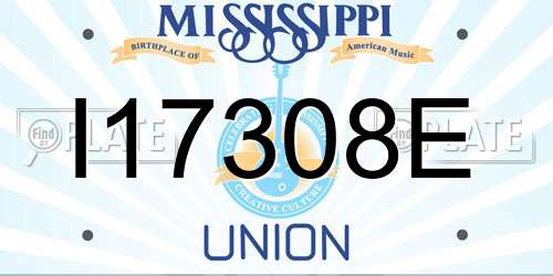 I17308E Mississippi License Plate