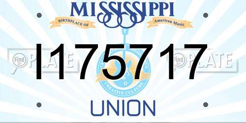 I175717 Mississippi License Plate