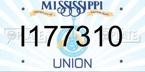 I177310 Mississippi License Plate