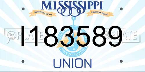 I183589 Mississippi License Plate