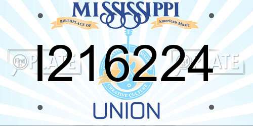 I216224 Mississippi License Plate