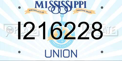 I216228 Mississippi License Plate