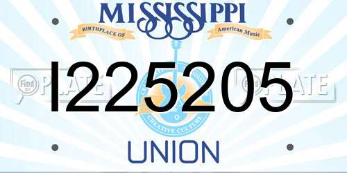 I225205 Mississippi License Plate