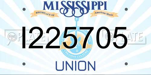 I225705 Mississippi License Plate