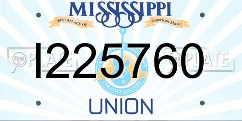 I225760 Mississippi License Plate