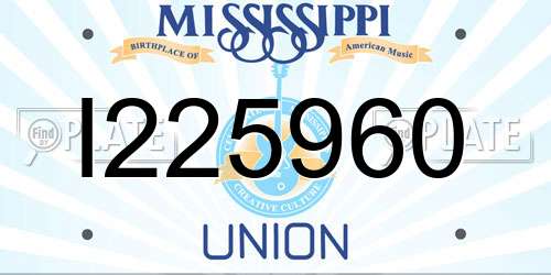 I225960 Mississippi License Plate
