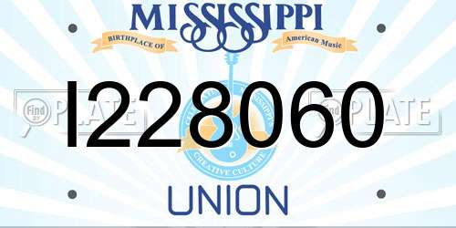 I228060 Mississippi License Plate