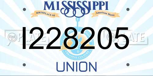 I228205 Mississippi License Plate