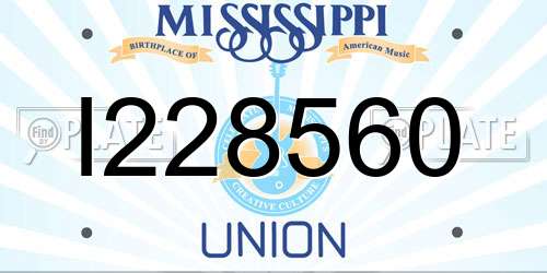I228560 Mississippi License Plate