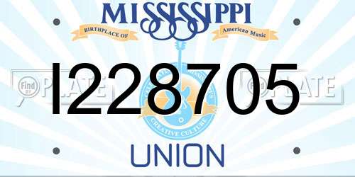 I228705 Mississippi License Plate