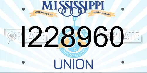 I228960 Mississippi License Plate