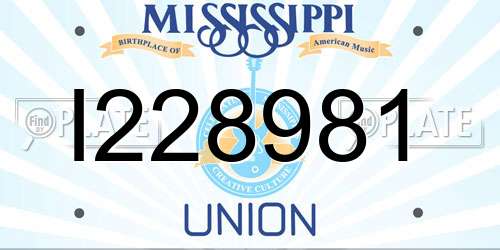 I228981 Mississippi License Plate