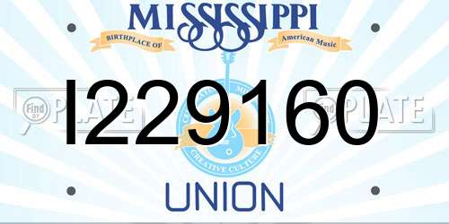 I229160 Mississippi License Plate