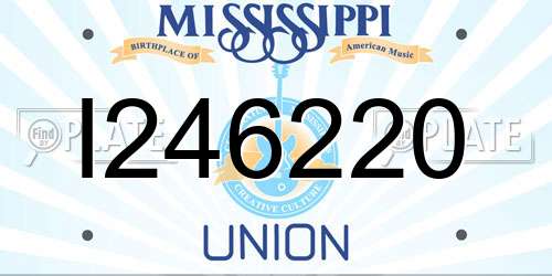 I246220 Mississippi License Plate