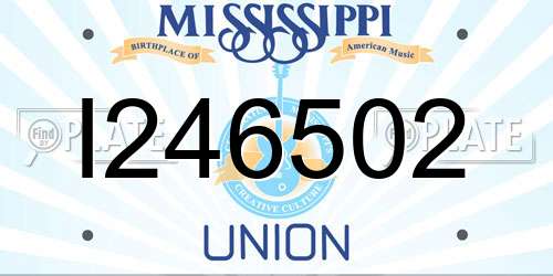 I246502 Mississippi License Plate