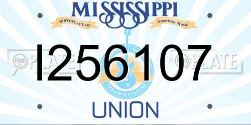 I256107 Mississippi License Plate