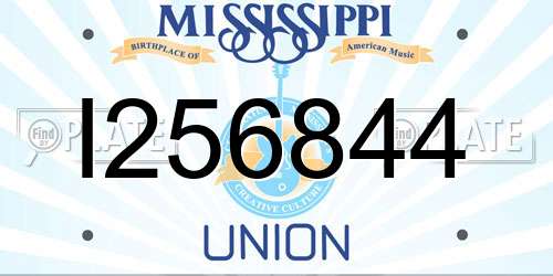 I256844 Mississippi License Plate