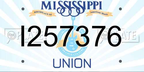 I257376 Mississippi License Plate
