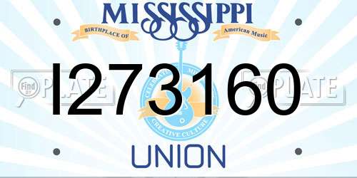 I273160 Mississippi License Plate