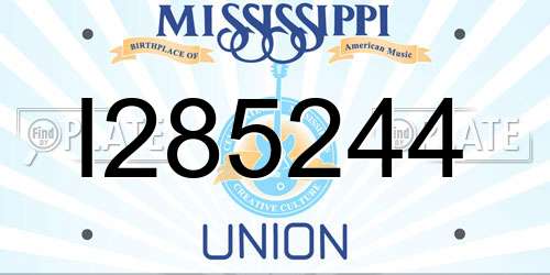 I285244 Mississippi License Plate