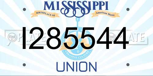 I285544 Mississippi License Plate