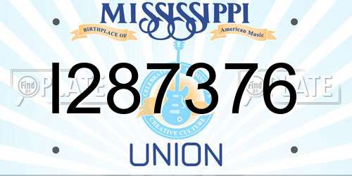 I287376 Mississippi License Plate
