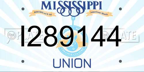 I289144 Mississippi License Plate