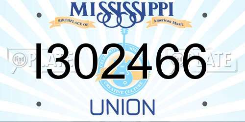I302466 Mississippi License Plate
