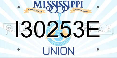 I30253E Mississippi License Plate