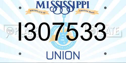 I307533 Mississippi License Plate