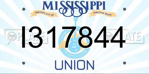 I317844 Mississippi License Plate