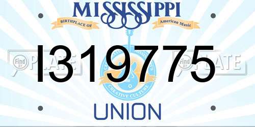 I319775 Mississippi License Plate