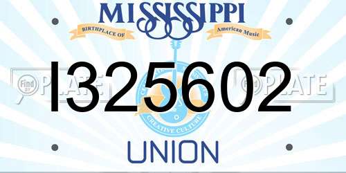 I325602 Mississippi License Plate