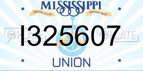 I325607 Mississippi License Plate