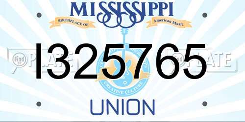 I325765 Mississippi License Plate